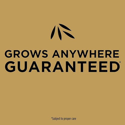 Scotts EZ Seed Patch and Repair for Sun and Shade Combination Mulch, Sun and Shade Grass Seed and Fertilizer for Bare Spots and Repair, Grows Anywhere, 40 lbs.