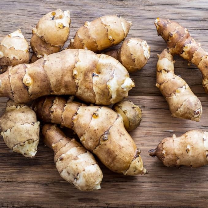 5Pcs Jerualem Artichoke Tubers For Planting, Sunroots Sunchokes Tubers For Planting, Fresh Jerusalem Artichoke Roots Ready To Grow