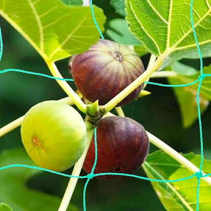 Pack of 2 Cucumber Tomato Trellis Netting, Heavy Duty Garden Netting for Climbing Plants Support, Pea, Grape, Bean, Fruit, Vegetables - 4" Mesh Size, 6Ft x 12Ft