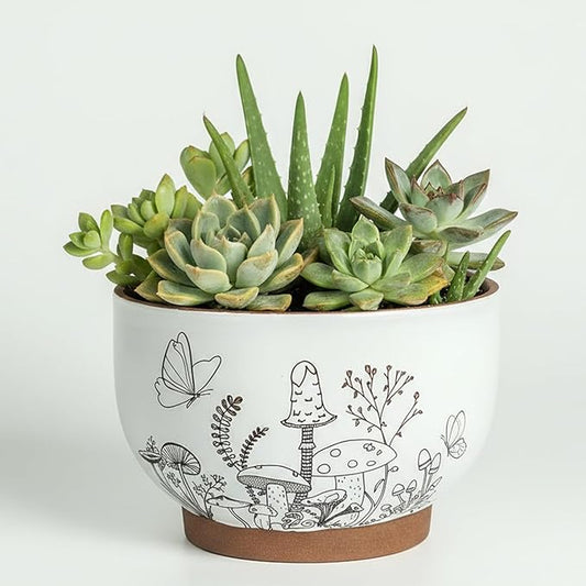 Succulent Pots Terracotta, 6 Inch Plant Pot for Plants with Drainage Hole, Ceramic Planter Mushroom Pattern, Round Flower Pots for Indoor Outdoor Herb Orchid Snake Plants - 1 Pack
