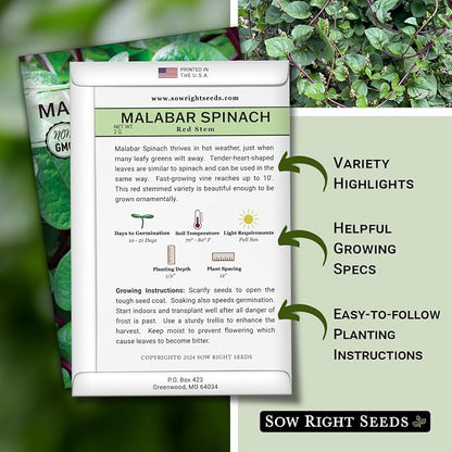 Sow Right Seeds - Malabar Red Stem Spinach Seeds for Planting - Non-GMO Heirloom - Perfect for Outdoors & Fall - Grow Nutritious Leaves - Easy to Plant, High Yield - Ideal for Home Gardeners (1)