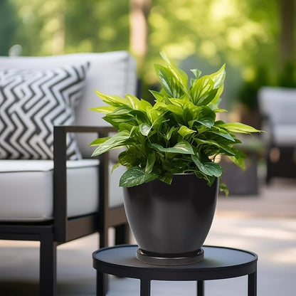 8 Inch Plant Pot - Ceraimc Planter for Indoor Outdoor Plants, Round Flower Pots with Drainage and Tray, House Decor, Black