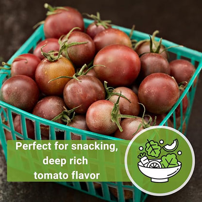 Sow Right Seeds - Black Cherry Tomato Seeds for Planting - Non-GMO Heirloom Packet with Instructions to Plant a Home Vegetable Garden - Tasty Snacking Variety, Start Indoors - Indeterminate (3)