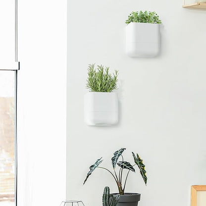 Phoenix Vine 6.5 Inch Wall Mounted Self-Watering Planter Pot for Indoor Houseplants and Herbs | Hanging Planter for Window Sills, Bathroom Walls, Home & Office Décor, White, Set of 3, 01-C-D-3