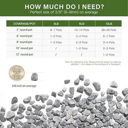 NUPICK 6 lbs Pebbles for Indoor Plants, 3/8 Inch Pea Gravel for Fish Tank, Decorative Rocks for Succulent, Natural River Stones for Vases, Cactus, Landscaping, Bird Bath, Aquarium, Grey