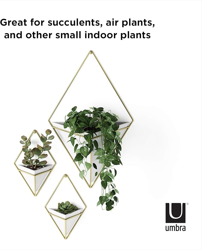 Umbra Trigg Hanging Planter Vase & Geometric Wall Decor Container - Great for Succulent Plants, Air Plant, Mini Cactus, Faux Plants and More, White Ceramic/Brass