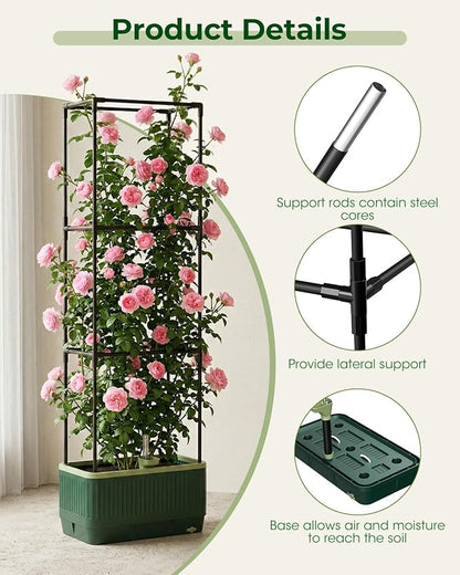 2 Pack Raised Garden Bed Planter Box with Trellis, Self Watering Tomato Planters for Climbing Plants, Tomato Cage Trellis for Vegetables & Vine Flowers Indoor Outdoor Patio