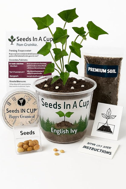 Guava Tree Starter Kit - Easy-to-Use, Educational, Great Gift, Non GMO Seeds, Guava Seed for palnting