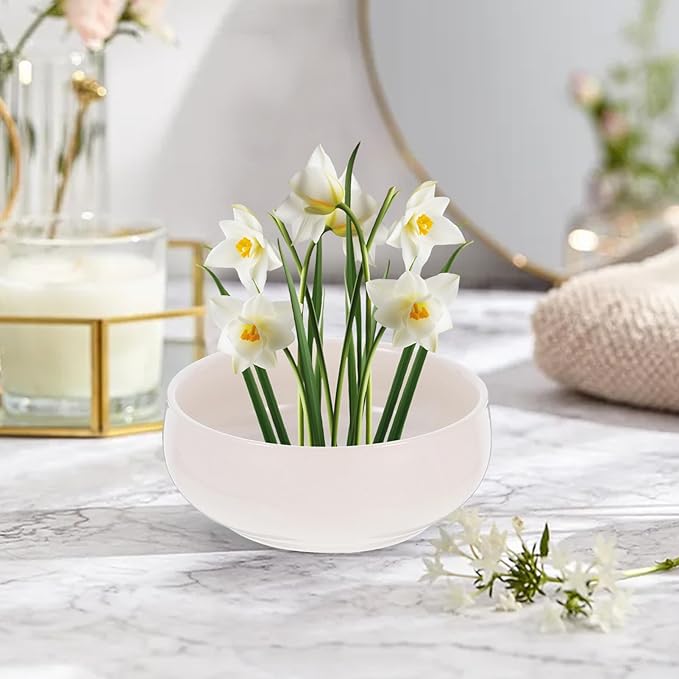 Toddmomy 2pcs Ceramic Hydroponic Lotus Bowl Planter for Water Lilies Narcissus and Decorative Water Plant Pot for Indoor Gardening Porcelain Design