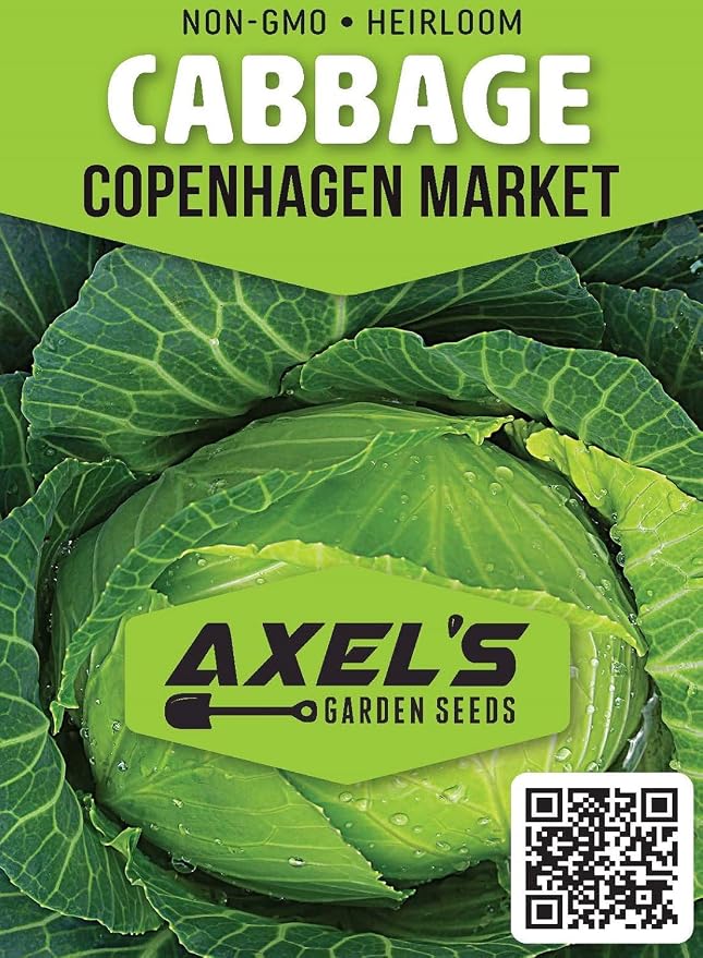Cabbage Seeds for Planting – Non-GMO Heirloom Vegetable Seeds – Full Instruction Packets to Plant in Your Home Outdoor Garden – Gardening Gift – 200 Copenhagen Cabbage Seeds Per Pack (3 Packets)