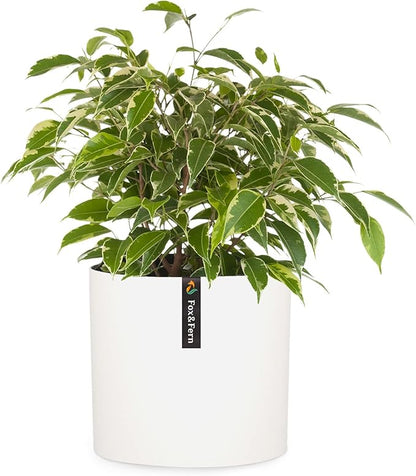 Fox & Fern Large 12 Inch Plant Pot with Drainage Plug — Premium Polystone Matte White Planter; Large Indoor & Outdoor Planter; 12 Inch Pots for Plants; Weather Resistant & UV Resistant