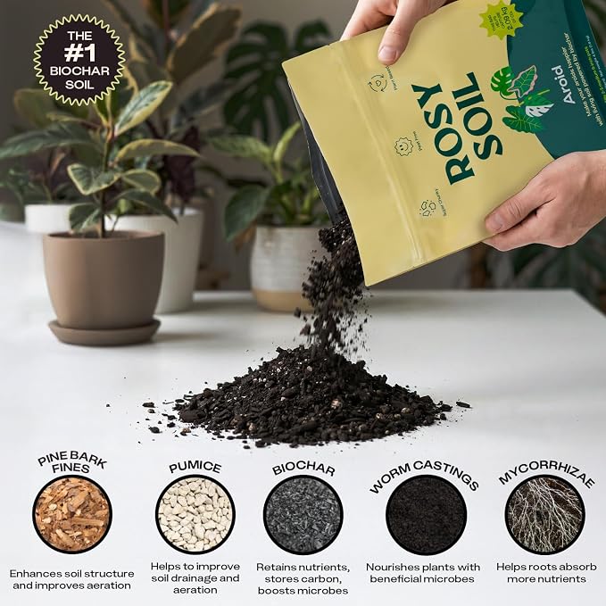 Rosy Soil Aroid Soil Mix - Chunky Biochar Potting Mix for Monstera, Philodendron, Anthurium & Tropical Plants - Peat-Free, Microbially Active, Superior Aeration & Drainage for Aroid Plants - 4 Quarts