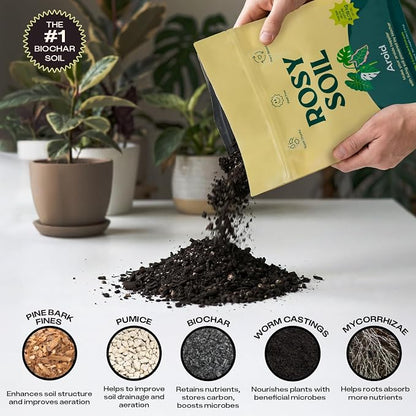 Rosy Soil Aroid Soil Mix - Chunky Biochar Potting Mix for Monstera, Philodendron, Anthurium & Tropical Plants - Peat-Free, Microbially Active, Superior Aeration & Drainage for Aroid Plants - 4 Quarts
