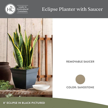 The HC Companies 8 Inch Eclipse Square Planter Pots with Drainage Holes & Attached Saucer, Lightweight UV-Resistant Plastic Indoor Outdoor Planters, 4-Pack Flower Pots for Garden Home Decor, Sandstone