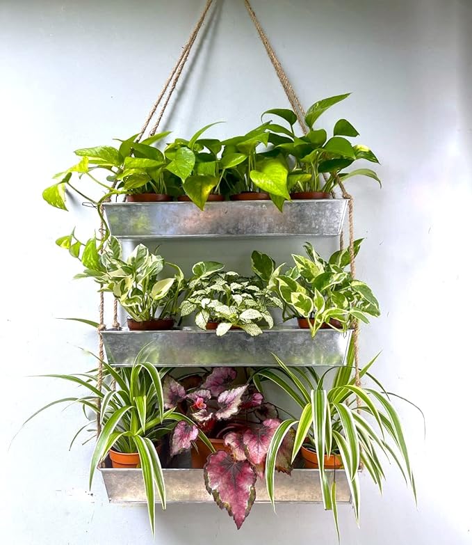 LaLaGreen Wall Hanging Planter - 16 Inch Indoor Wall Planters, 3 Tier Succulent Planters, Metal Silver Window Herb Garden Rectangle Hanging Vertical Plant Pot