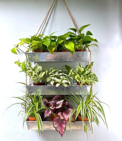 LaLaGreen Wall Hanging Planter - 16 Inch Indoor Wall Planters, 3 Tier Succulent Planters, Metal Silver Window Herb Garden Rectangle Hanging Vertical Plant Pot