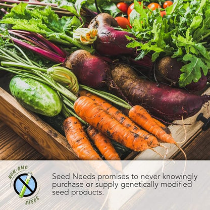 Seed Needs Rainbow Mixed Carrot Seeds to Plant Heirloom & Non-GMO 1 Pack
