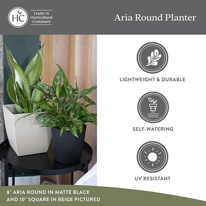 The HC Companies Aria Round Self-Watering Pot - Lightweight Plastic Planter for Herbs & More - Durable Plant Pots for Indoor Plants & Outdoor Plants (6" Warm Gray, Pack of 1)