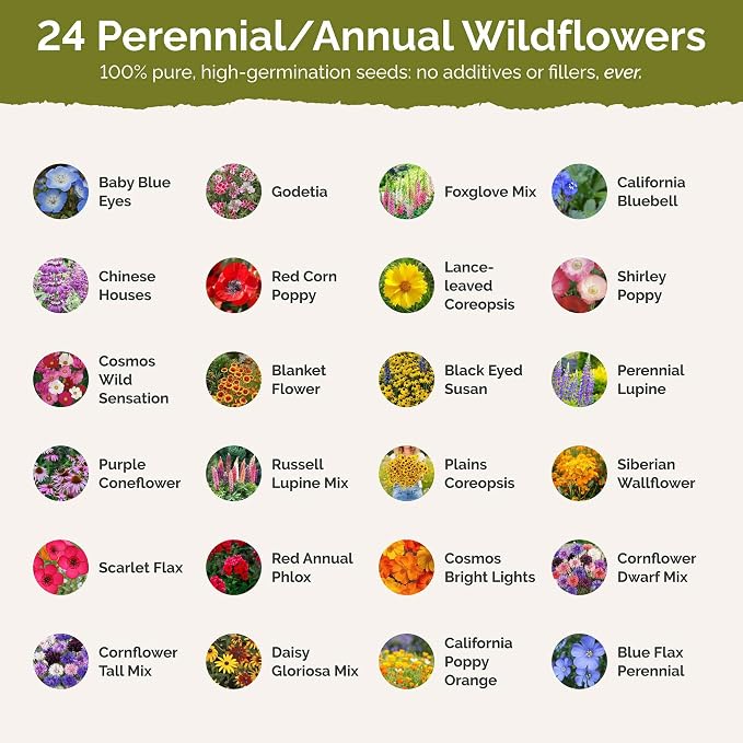 Eden Brothers Washington Wildflower Mixed Seeds for Planting, 1 oz, 30,000+ Seeds with Cosmos, Bluebell | Attracts Pollinators, Plant in Spring or Fall, Zones