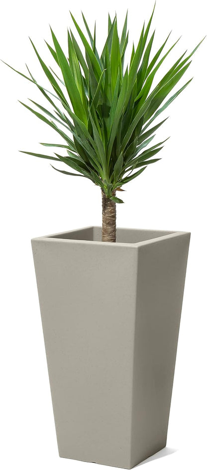 Step2 Tremont Tall Square Tapered Planter, Large Planters for Outdoor Plants, Gardening and Flower Pot for Patio or Porch, Efficient Drainage, Durable Plastic, Concrete, 1-Pack