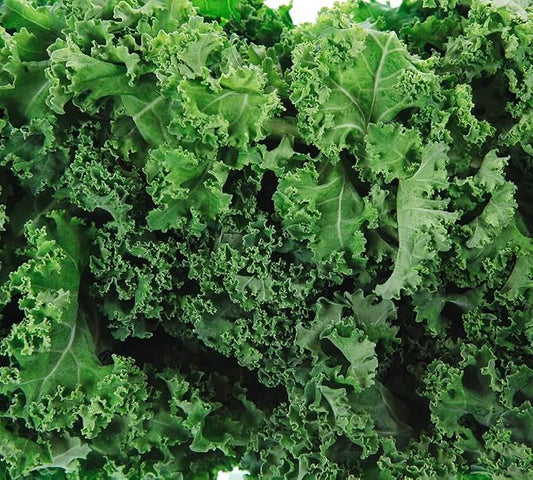 Dwarf Siberian Kale Seeds for Planting – Plant & Grow Heirloom Non-GMO Dwarf Siberian Kale in Home Outdoor Vegetable Garden, Brassica Napus – 3 Packets