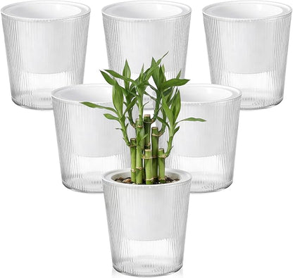 6 Pack Self Watering Pots for Indoor Plants Plastic Vertical Ribbed Semi Transparent Planters, Dual Layer Reservoir for Indoor Succulents Herbs Pothos(Clear, White,4 x 4.3 Inch)
