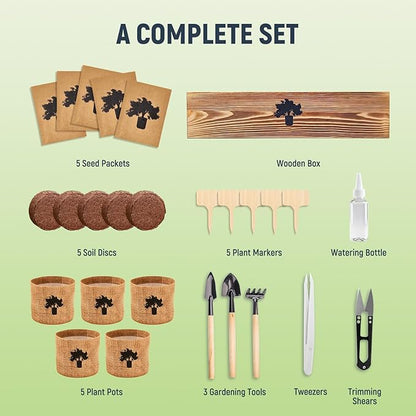 Bonsai Tree Kit - Complete Indoor Bonsai Starter Kit with 5 Unique Tree Seeds, Bonsai Tools - DIY Gardening Gift for Adults Women Men, Mom, Her, Friend (5 Bonsai Trees)