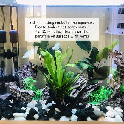 5 lbs Polished Black Pebbles for Indoor Plants, 0.8-1.2 Inch Small Bag Black Stones. Decorative River Rocks for Plants Aquarium Planter Vase Fillers Landscaping and Garden