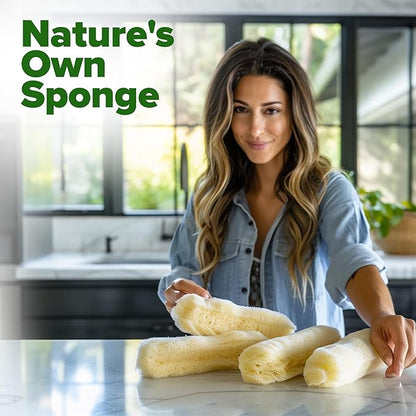 HOME GROWN Non GMO Luffa Seeds (Luffa aegyptiaca) 40 Heirloom Loofah Gourd Seeds for Planting High Germination Rate - Make Sponges or Harvest Young Loofahs for Eating