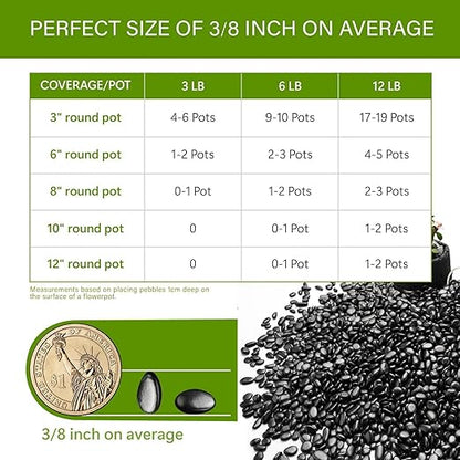 NUPICK 6lb River Rocks for Plants Indoor, 3/8 Inch Black Pebbles for Vases Fillers, Decorative Pea Gravel for Fish Tank, Natural Polished Stones for Succulent, Bonsai, Landscaping, Bird Baths