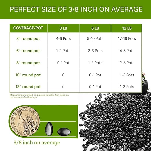 NUPICK 3lb River Rocks for Plants Indoor, 3/8 Inch Black Pebbles for Vases Fillers, Decorative Pea Gravel for Fish Tank, Natural Polished Stones for Succulent, Bonsai, Landscaping, Bird Baths