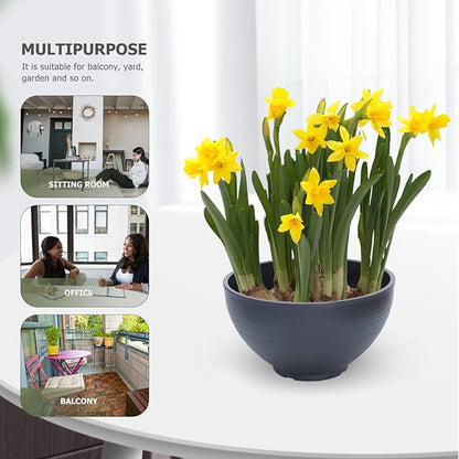 Happyyami Resin Hydroponic Planter Garden Bowl: Micro Landscape Succulent Pot Big Water Lily Container Resin Functional Mini Fish Pond Fountain Bird Bath Grey, 30x30cm