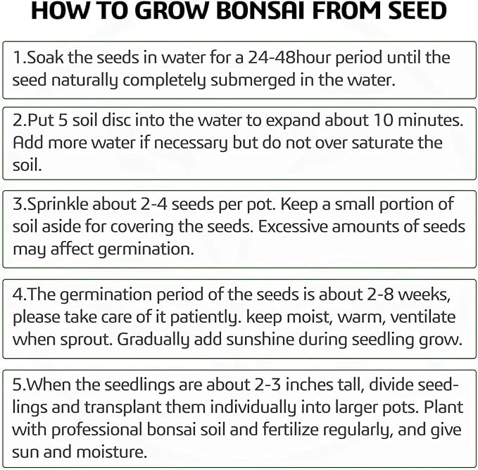5 Bonsai Tree Kit Complete Plant Growing Tools, Grow in Pot Indoor Bonsai Tree Starter Kit