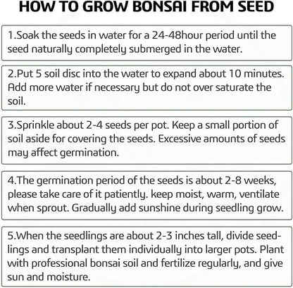 5 Bonsai Tree Kit Complete Plant Growing Tools, Grow in Pot Indoor Bonsai Tree Starter Kit