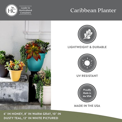 The HC Companies Caribbean Planter Pot - Outdoor & Indoor Plant Pot with Drainage Hole & Plug - Rolled Rim Plastic Pots for Plants & Flowers - Decorative Plant Pot (12" Warm Gray, Pack of 1)