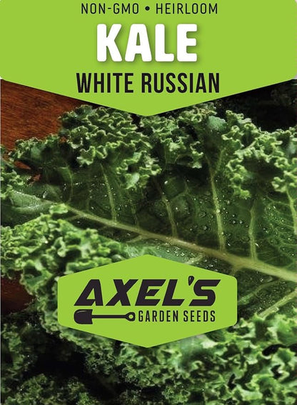 Kale Seeds for Planting - Plant & Grow Heirloom Kale Varieties Home Outdoor Garden – Easy Grow Planting Packet Instructions Included, Great Gardening Gift – 5 Packets of Each Variety