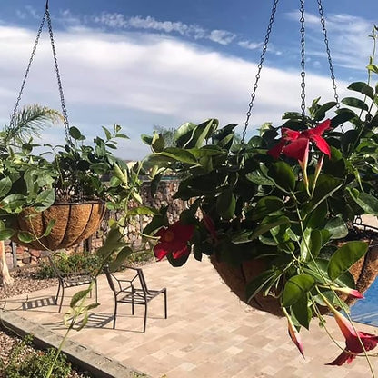 12 inch Metal Hanging Baskets For Plants Outdoor 4 Pack Round Metal Wire Hanging Basket Planter with Coco Fiber Liners Chain Round Wire Plant Holder for Garden, Patio, Deck, Porch Plants Flower Potss
