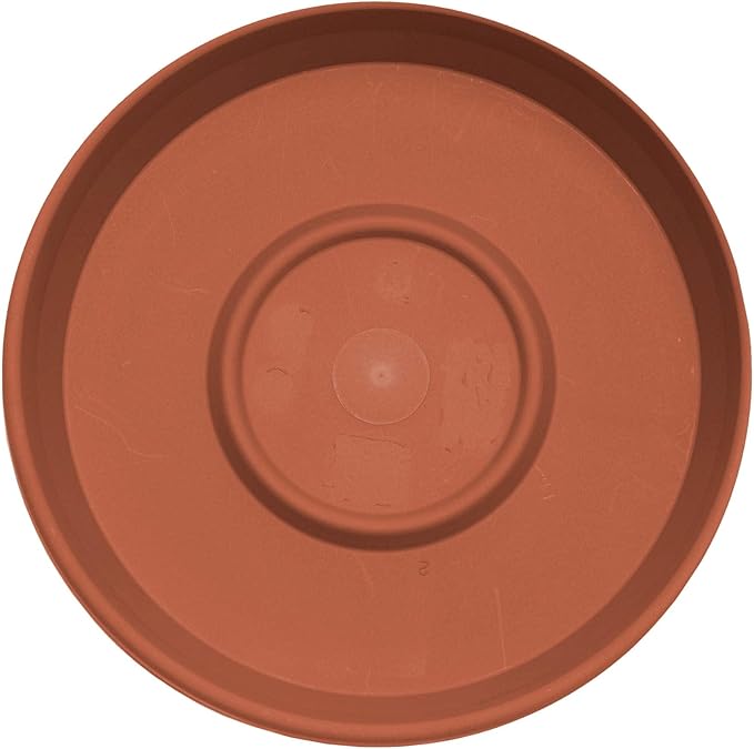 Bloem Terra Resin Saucer Tray: 4.75" Bottom Width - Terra Cotta - Matte, Durable, Ribbed Bottom, Indoor and Outdoor, Fits 6" Terra Pots