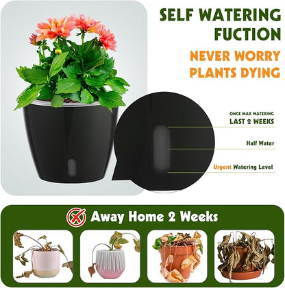 Self-Watering Pots for Indoor Plants, 8-Pack Self Watering Planter with Drainage Holes, Small African Violet Pots with Water Indicator, 5-Pack 5''/3-Pack 6.7'' Orchid Pot, Black