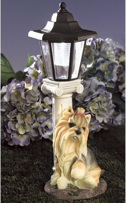 Bits and Pieces - Solar Yorkie Lantern-Solar Powered Garden Lantern - Resin Dog Sculpture with LED Light - Yorkshire Terrier - 13.5" Tall