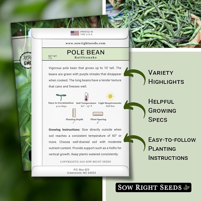 Sow Right Seeds - Rattlesnake Pole Bean Seeds for Planting - Non-GMO Heirloom Packet with Instructions to Plant an Outdoor Home Vegetable Garden - Stringless Variety - Tender with Purple Streaks (2)