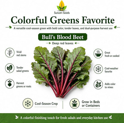 Salad Greens Variety Pack Seeds – 9 Heirloom Leafy Green Vegetable Seeds | Lettuce Kale Spinach Arugula Collards Beet Greens Mustard Cress for Raised Beds Containers Garden