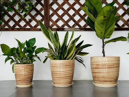 10 Inch Plant Pot Ceramic Pots for Plants with Drainage Hole and Saucer Round Flower Pot for Home Patio Garden Office Yellow