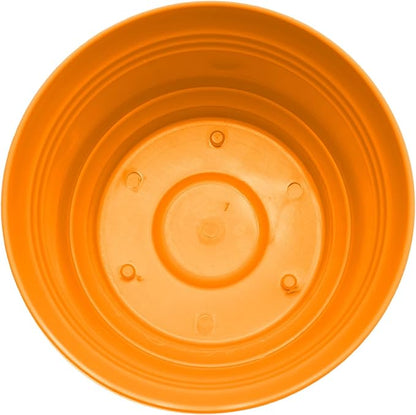 Bloem Saturn 5" Mango Round Resin Planter Pot with Snap-in Saucer for Indoor and Outdoor Gardening