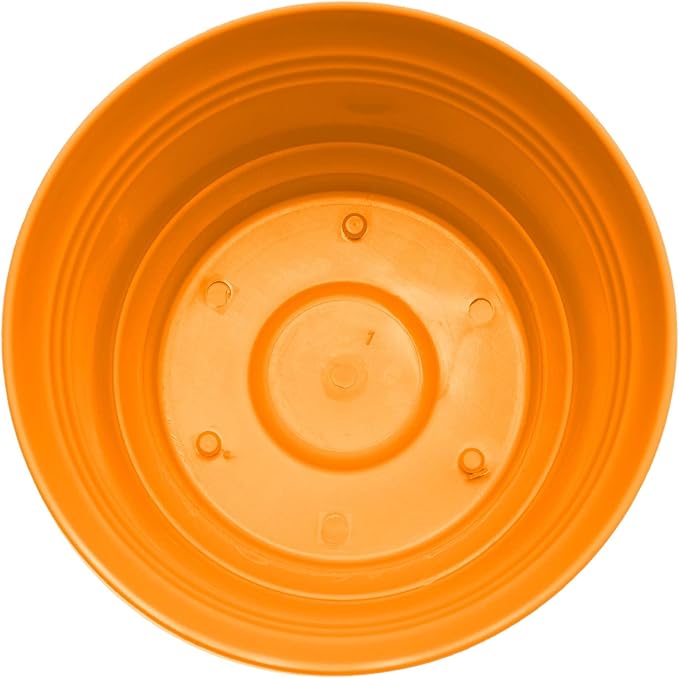 Bloem Saturn 7" Mango Round Resin Planter Pot with Snap-in Saucer for Indoor and Outdoor Gardening