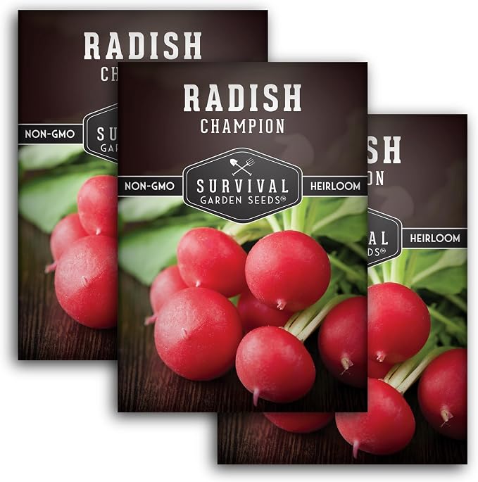 Champion Radish Seeds for Planting – Fast Growing Heirloom for Spring & Fall Gardens – Large Round Red Radishes, White Flesh – Heat & Cool Weather Hardy – Survival Garden Seeds (3 Packs)