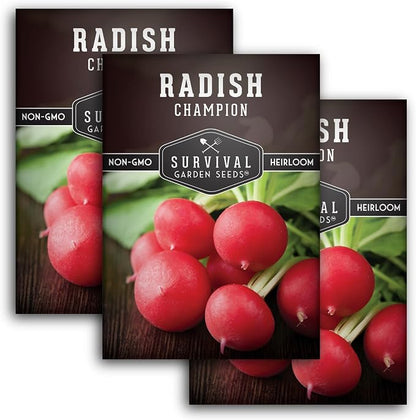 Champion Radish Seeds for Planting – Fast Growing Heirloom for Spring & Fall Gardens – Large Round Red Radishes, White Flesh – Heat & Cool Weather Hardy – Survival Garden Seeds (3 Packs)