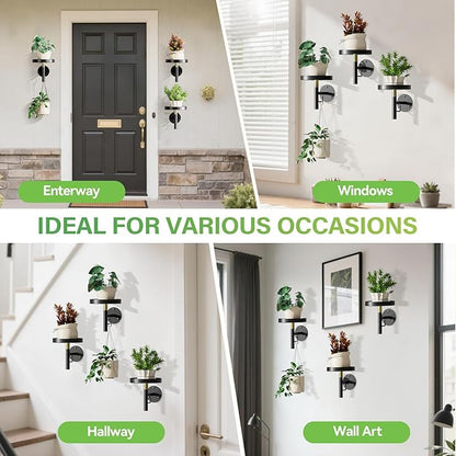 DELLAN Wall Plant Holder, 3 Pack Metal Wall Planters Stand Hanging Shelves for Indoor Plants, Window Sill Plant Decor for Bedroom, Bathroom, Living Room, Home, Office, BlackGold