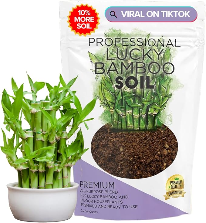 Professional Lucky Bamboo Soil Mix Large 2.2 Quarts Ready to Use, Premium Indoor Potting Soil for Lucky Bamboo Plants, Dracaena Sanderiana, Peat Moss Coco Coir Perlite Dolomite Blend Made in USA