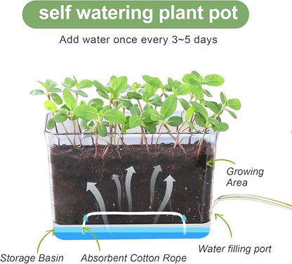 Oliz Self Watering Planters - 4 Pack Rectangular Clear Plant Pots with Drainage Holes for Indoor Plants